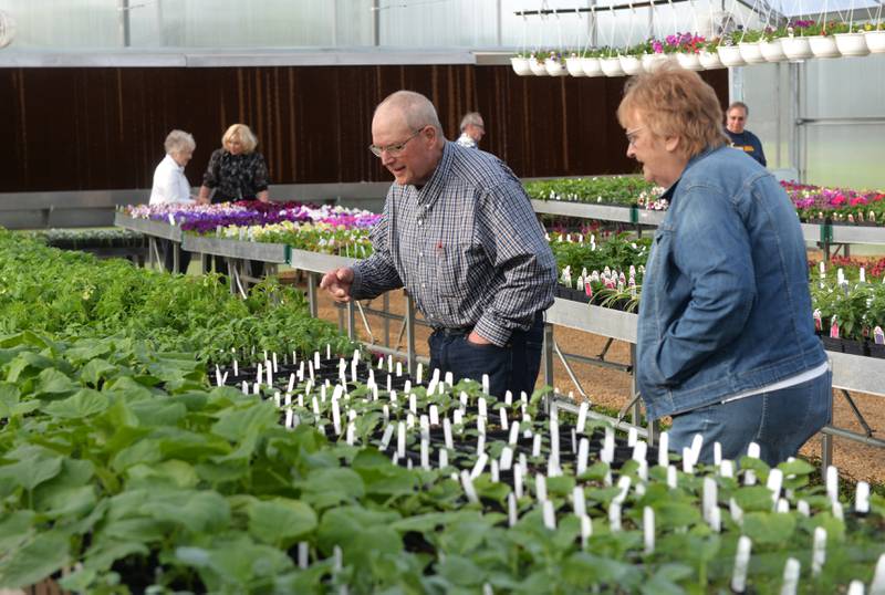 Lyle and Sheryl Hopkins, representing Pine Creek Christian Church,  look over some of the plants for sale inside Polo High School's new greenhouse. A ribbon cutting was held  Wednesday, May 1, 2024 to mark the opening of the 42'x72' building. The church made a sizable donation toward the greenhouse project.