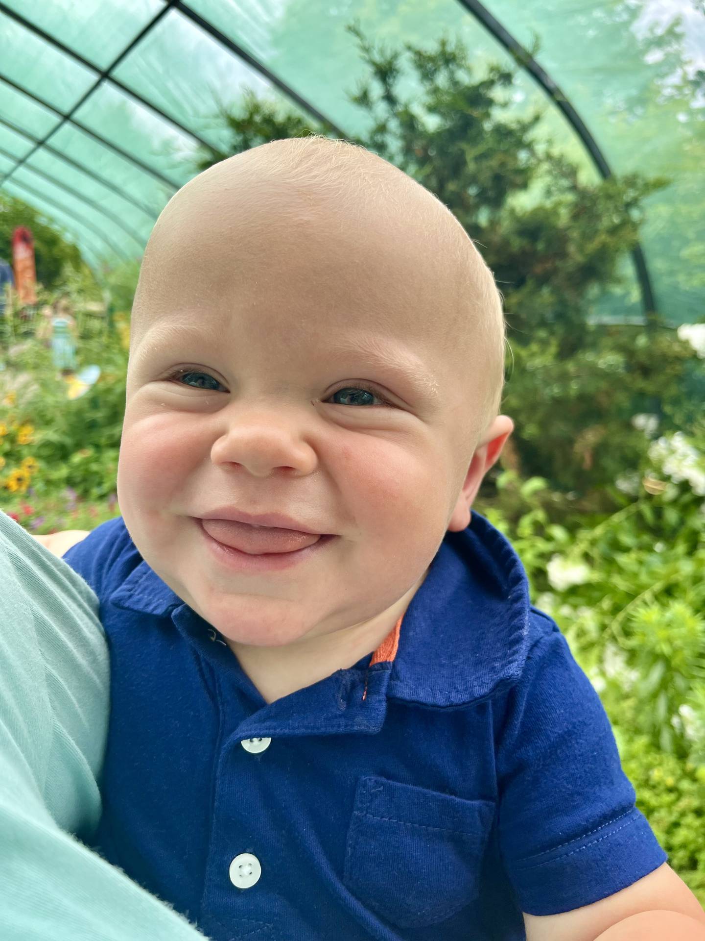 Entry No. 7 for the Princeton Junior Women's Club Homestead is Austin Richard McComber 10 month old son of Joel and Holli McComber of Tiskilwa.