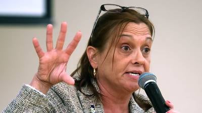 State Rep. Briel says she fears heavier ICE presence in Illinois in wake of federal budget bill’s passage