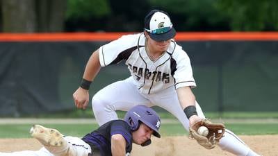 Photos: Sycamore, Dixon play in Class 3A Freeport Regional baseball semifinal
