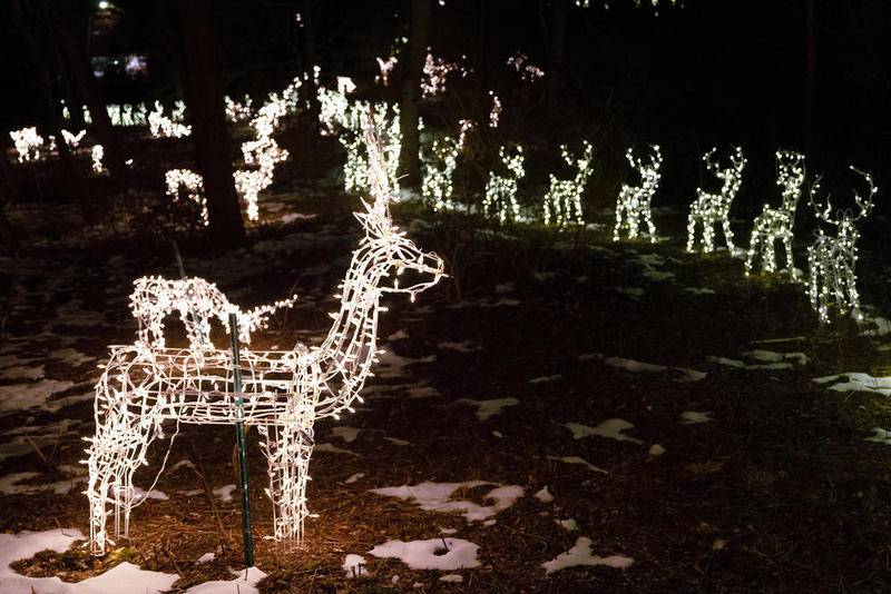 Light Up Deer, Bull Valley

8907 Bull Valley Road, just west of Valley Hill Road.

For over 20 years, the white light up deer in Bull Valley have been a staple of the holiday season.