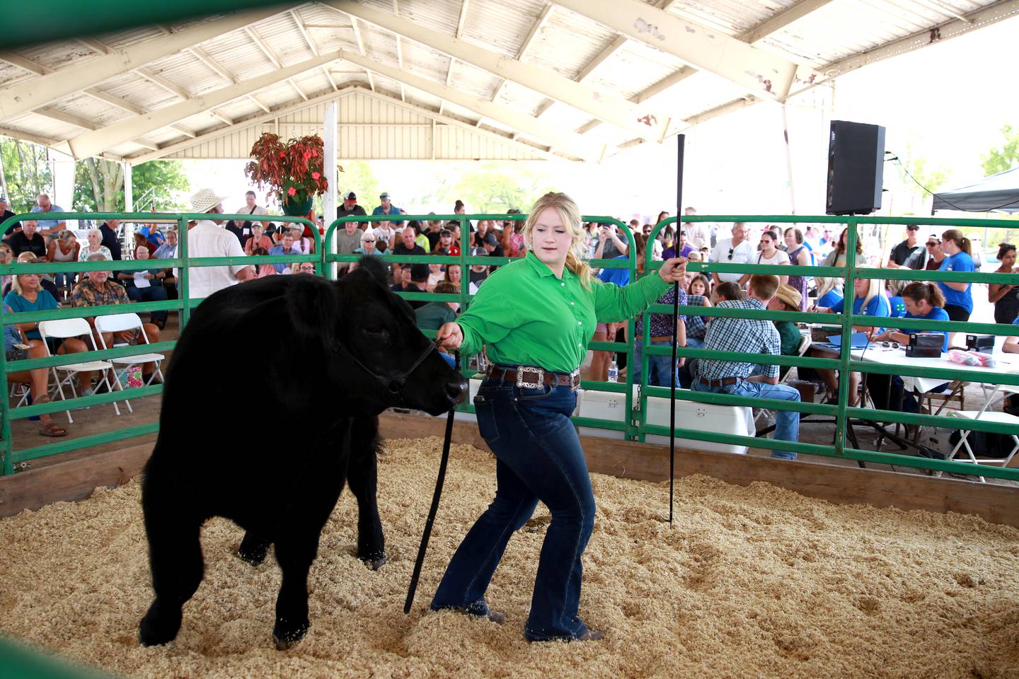 Georgia Harvell, 18, of Maple Park auctions off her steer during the 155th Kane County Fair in St. Charles on Sunday, July 21, 2024.