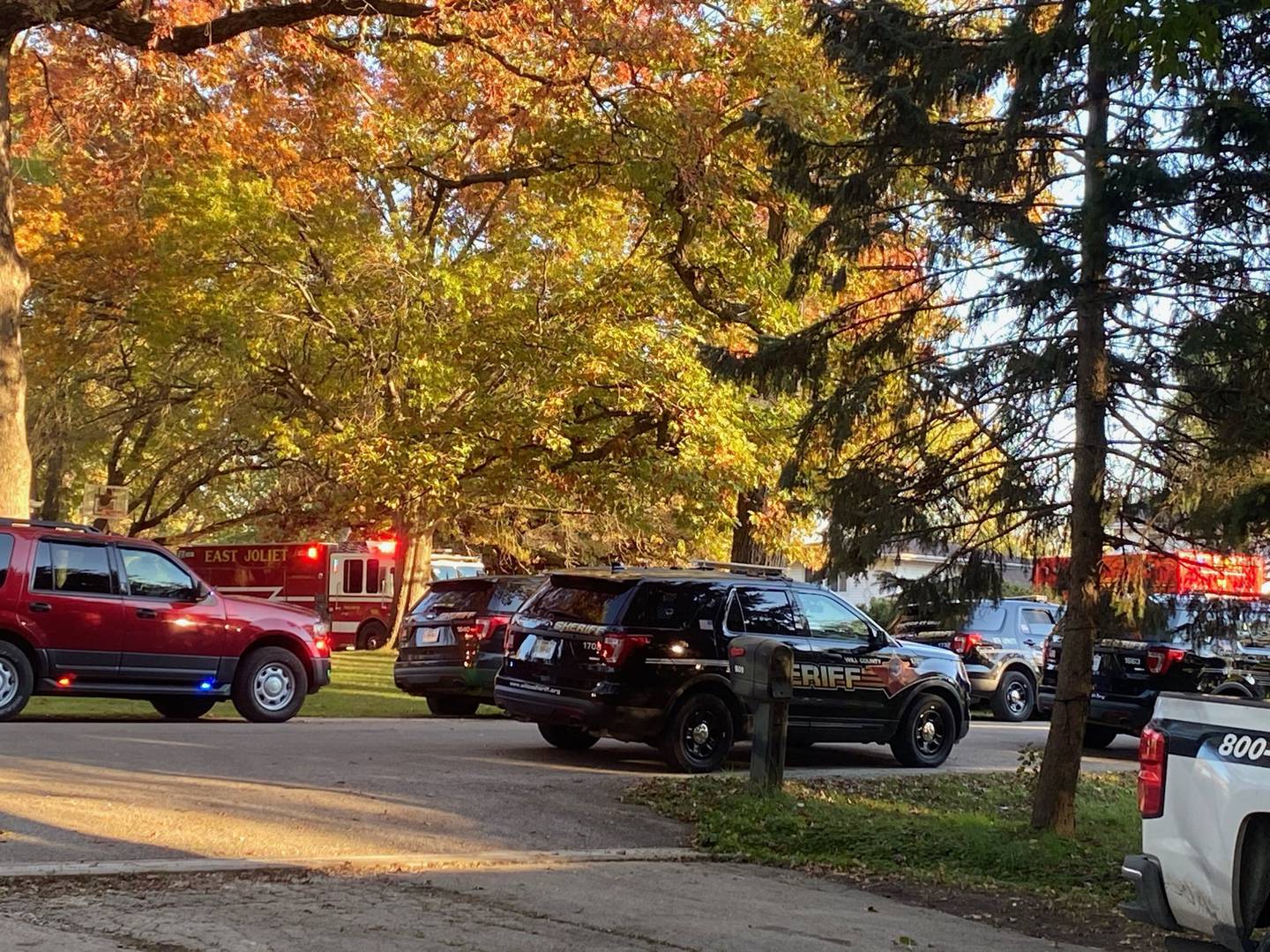 The Will County Sheriff's Office blocked off Middletree Road after deputies gunned down a man as he stabbed his grandfather to death Saturday afternoon, according to police.