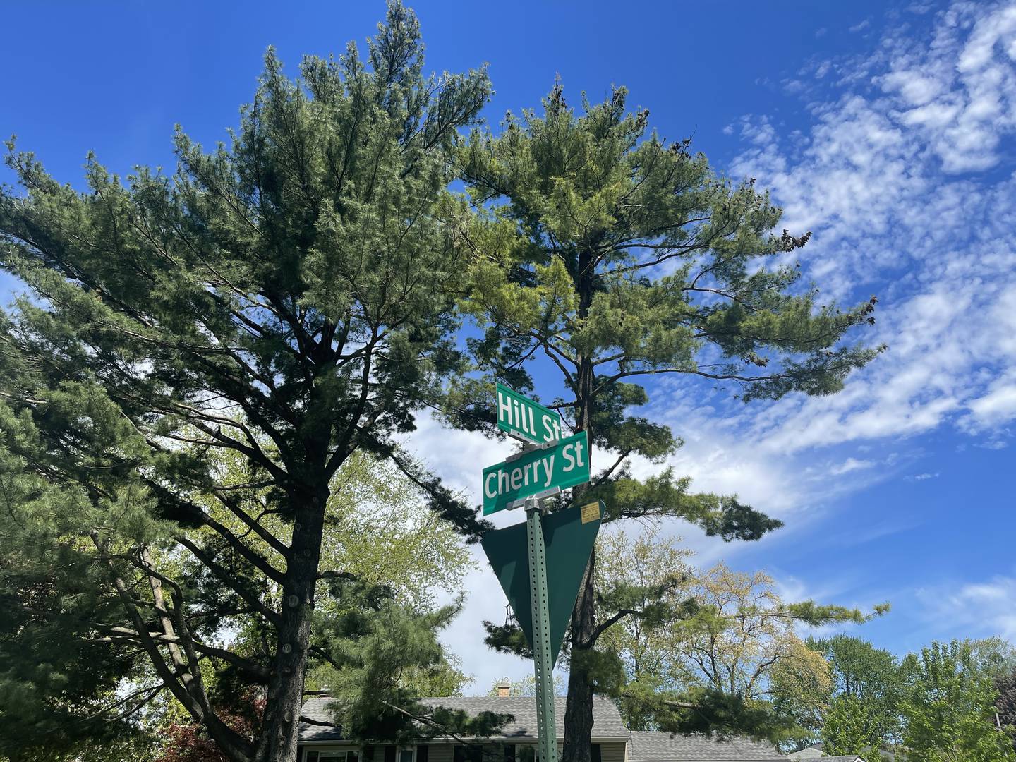 A three-year-old child was killed Monday, May 16, 2022, after they were hit by a school bus near the intersection of Hill Street and Cherry Street in Cary.