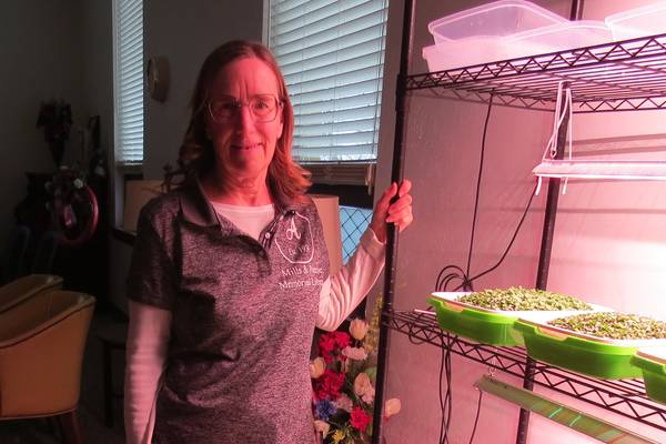 Ashton’s Mills & Petrie Memorial Library centered on community