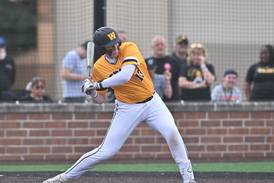 Five players to watch for this upcoming baseball season in the Herald-News area