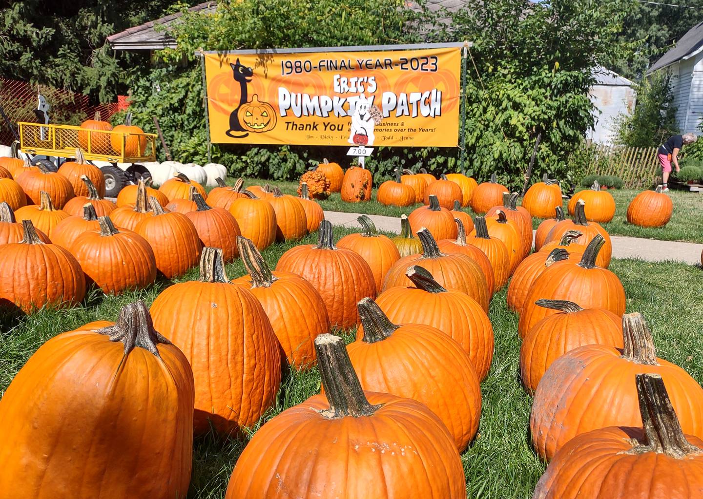 Eric's Pumpkin Patch in rural Streator will conclude its final season of pumpkin sales this year. Pumpkins line the yard on Sunday, Sept. 24, 2023.
