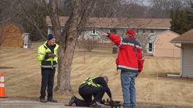 Search underway for missing woman in Davis Junction: Ogle County Sheriff’s Office