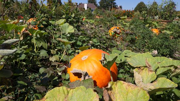 First Congregational Church of Peru hosts Thanksgiving service