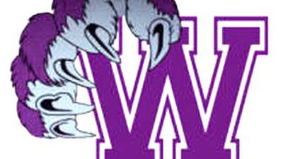 Wilmington tops Bishop Mac to win Class 2A baseball sectional: The Herald-News Saturday roundup