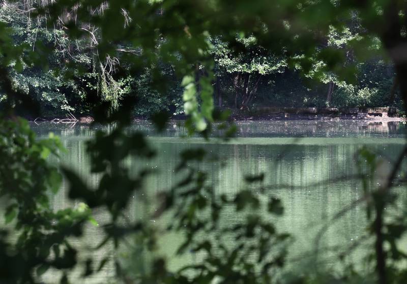 The pond that sits behind a tree line along Ridge Drive between Sunflower Drive and Pickwick Lane, where a victim of an apparent drowning was recovered Sunday night after water rescue efforts, is photographed Monday, July 28, 2025.