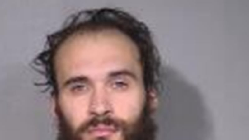 McHenry man pleads guilty to battery for biting stranger
