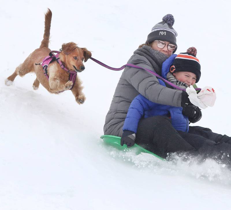 Shelby Johnson, and her son Will, 6, from Sycamore, sled down the hill with their dog Millie in hot pursuit Wednesday, Feb. 2, 2022, at the Sycamore Park District Community Center. Snow fell overnight and into Wednesday across DeKalb County.