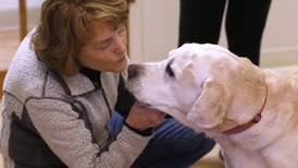 How 4 women saved their sick dogs is now a feature film; upcoming screenings to benefit Woodstock shelter