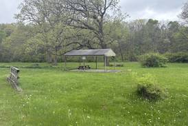 HumanKIND Initiative and Safe Journeys to put on ‘Succulents & Self-Care’ event