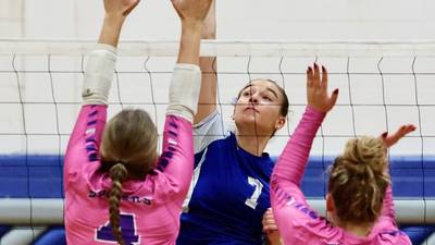 Princeton enjoys senior night success against Mendota  