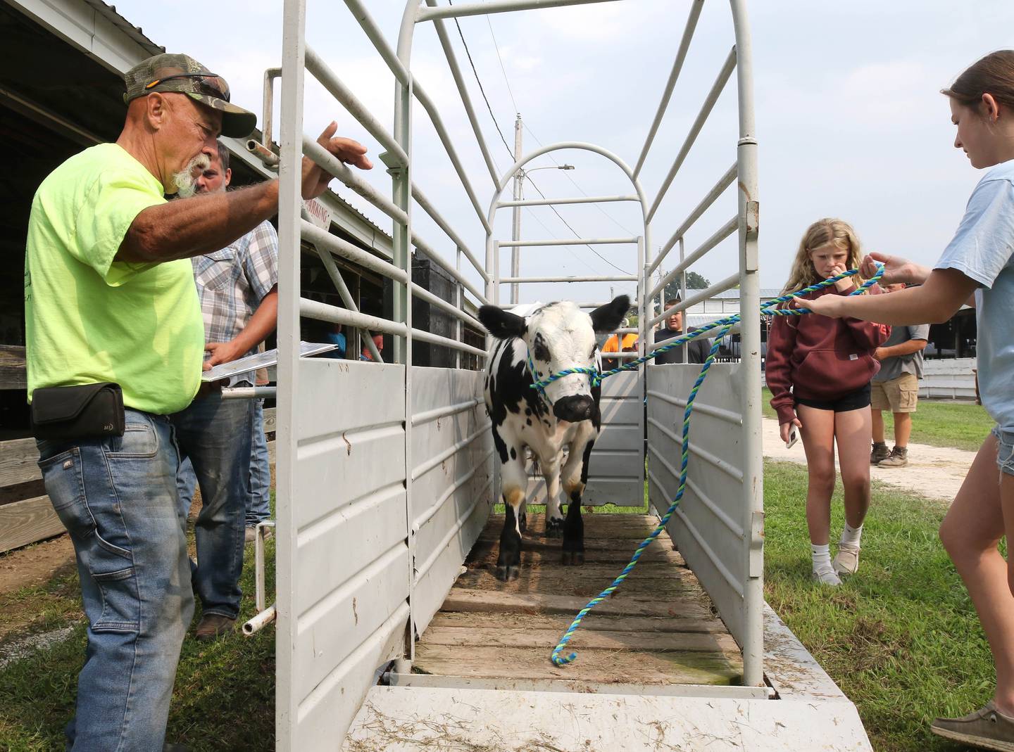 Rylee Brendle, (right) 12, from Kirkland, weighs her cow Friday, Aug. 1, 2025, during the DeKalb County 4-H Livestock Fair at the Sandwich Fairgrounds.