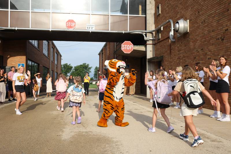 The Herscher Tigers mascot, embodied by administrative assistant Kathy Astrella,  welcomes Herscher Intermediate School students with high fives as they arrive for the first day of school on Tuesday, Aug. 19, 2025.