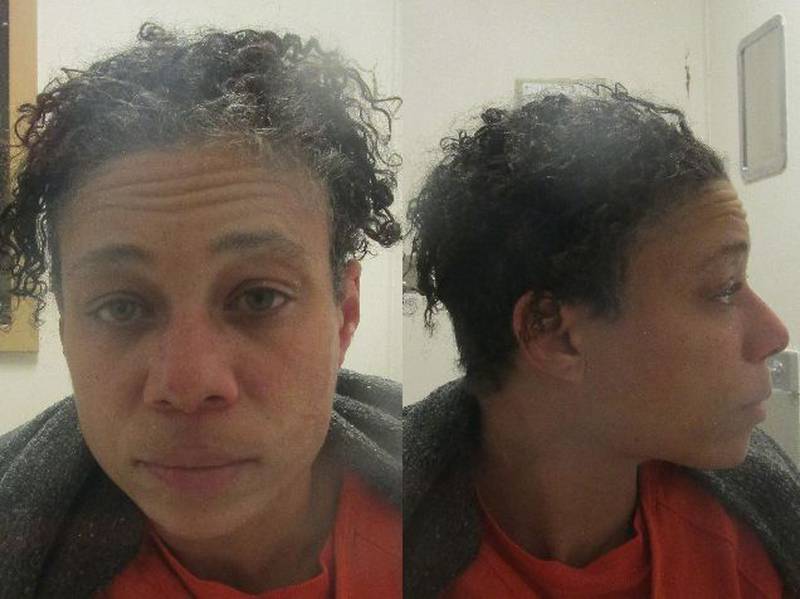 Harnita C. Harris was charged with felony aggravated fleeing to elude a police officer and misdemeanor reckless driving and not having a valid license.