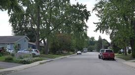 3 shot inside car in Carpentersville after 2 people approached vehicle, then fled 
