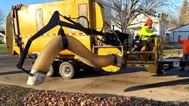 No more bagging of leaves for Oregon residents