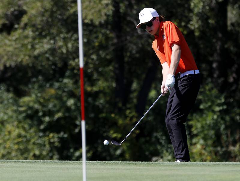 Crystal Lake Central’s Tommy Laird chips onto the 10th green during the Fox Valley Conference Boys Golf Tournament Wednesday, Sept. 25, 2024, at RedTail Golf Club in Lakewood.