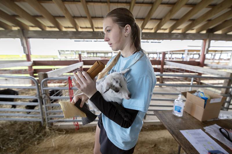 Alexis White, an FFA student from Amboy, shows off cow and goat leather Friday, April 24, 2026, at the Lee County Fairgrounds.