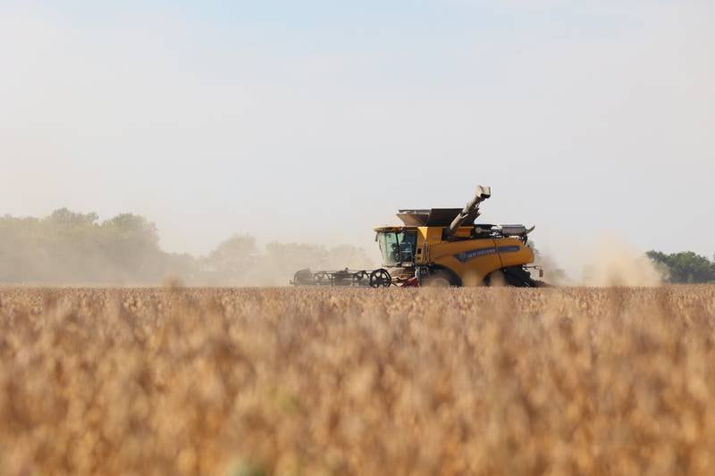 A farmer harvests soybeans in a field near Buckingham on Sept. 30, 2025.
