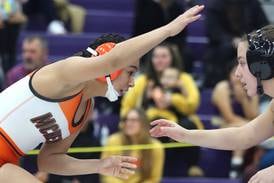 2025-26 Northwest Herald girls wrestling preview capsules