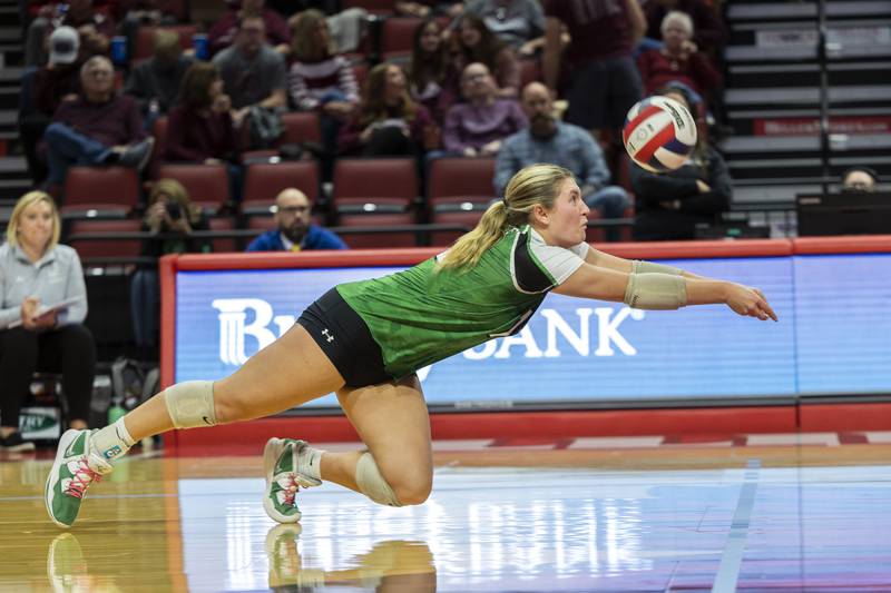 Rock Falls’ Claire Bickett dives for the ball against Breese Mater Dei in the 2A state semifinal Friday, Nov. 10, 2023 at CEFCU Arena in Normal.