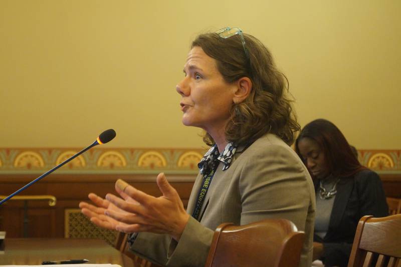 Ann Whalen, the early childhood transition director for Gov. JB Pritzker, testifies before a House budget committee about a plan to create a new state Department of Early Childhood.