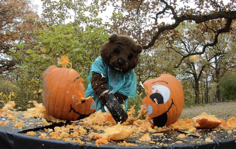 When your pumpkins start to lose their luster, don’t drop them into the trash or dump them in nature, smash them at Plum Creek Nature Center in Crete.