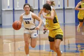Girls basketball: Princeton pulls away from Putnam County, will play for title Saturday