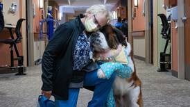 Woman, her 5-year-old St. Bernard offer pawsitive vibes through volunteerism at Northwestern Medicine hospital