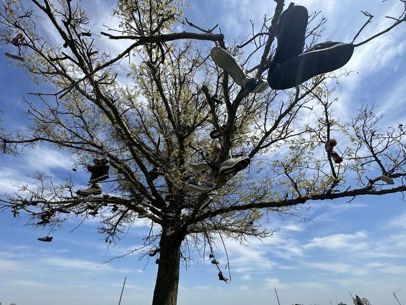 This infamous shoe tree is located at the intersection of U.S. Route 52 and Illinois Route 23 on Friday, May 5, 2023 north of Ottawa.