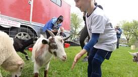 Photos: Country in the Park in Downers Grove