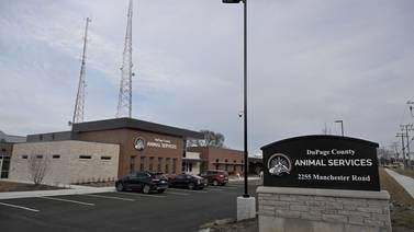 DuPage Animal Services celebrates $1 million gift as shelter is ‘overflowing’ with cats