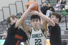 Photos: Seneca boys basketball defeats Sandwich 64-56