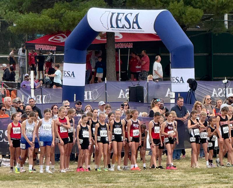 Dixon’s girls junior cross country team (middle) prepares to start their race Saturday, Oct. 18, 2025, in Normal.