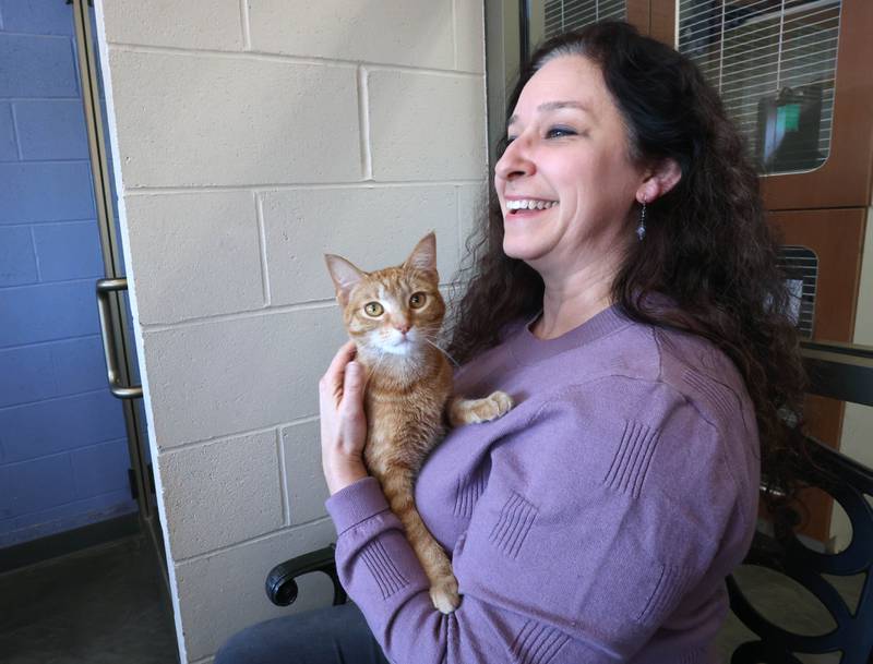 Michelle Groeper, executive director at Tails Humane Society, with one of the cats available to be adopted, Wednesday, Feb. 11, 2026, at the shelter in DeKalb. Tails was presented with the Nonprofit Organization of the Year award by the DeKalb Chamber of Commerce.