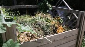 Down the Garden Path: Turn trash to treasure with composting