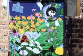 DeKalb city soliciting painters to help beautify utility boxes