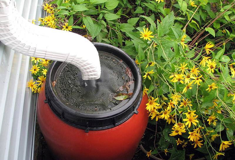 Rain barrel