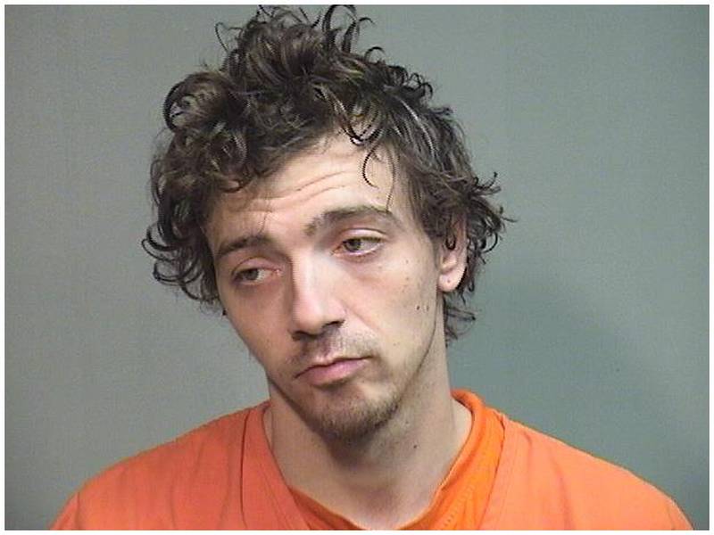 McHenry man admits he intentionally tortured his 4 month old puppy