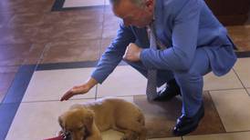 Photos: Honey and Louie, courthouse therapy dogs, are sworn in