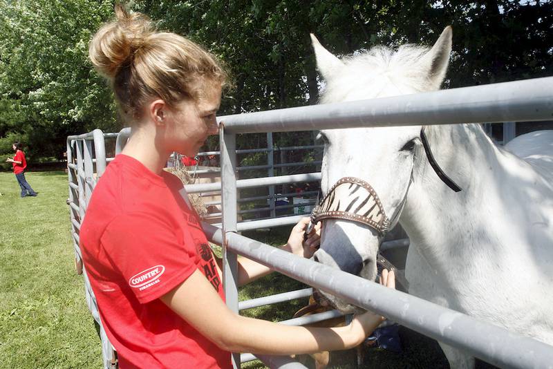 Olivia Willrett of the Malta Mustangs 4-H Club pats Snoopy, a 17-year-old horse that was helping her teach children at the DeKalb County Farm Bureau's Farm Safety Camp about being safe around farm animals.