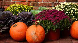 Down the Garden Path: Take care of your fresh fall decor