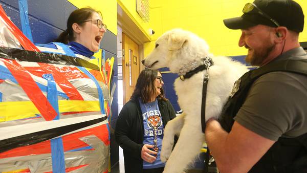 Photos:  Princeton Logan Jr. High teachers get taped up for a good cause 