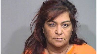 Woman with alleged ties to Mexican drug cartel pleads guilty in McHenry County after arrest with son