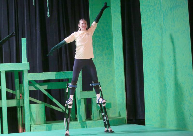 Gorilla Susan Hagerty, acts out a scene while on sitilts during a rehearsal of "Tarzan" on Thursday, Jan. 16, 2025 at Stage 212 in La Salle.